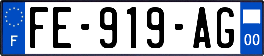 FE-919-AG