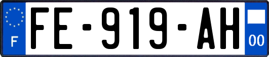 FE-919-AH