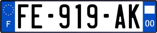 FE-919-AK