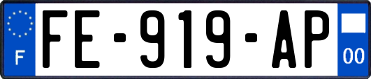 FE-919-AP