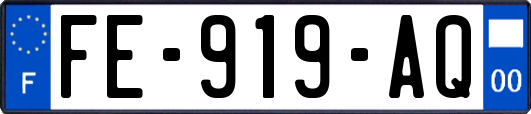 FE-919-AQ