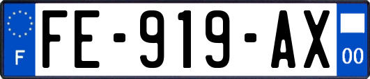 FE-919-AX