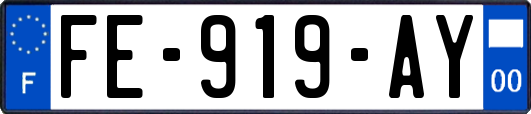 FE-919-AY