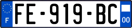 FE-919-BC