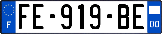 FE-919-BE