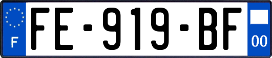 FE-919-BF