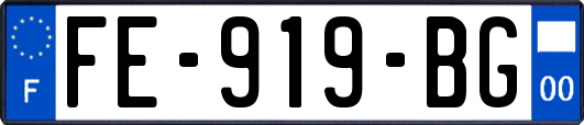 FE-919-BG
