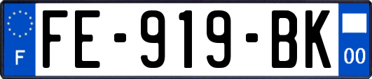 FE-919-BK