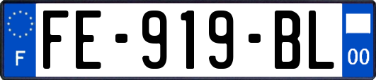 FE-919-BL