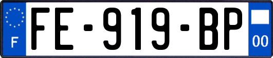 FE-919-BP