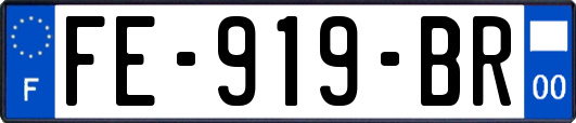 FE-919-BR