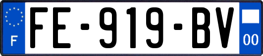 FE-919-BV