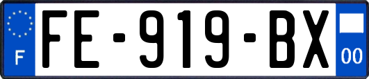 FE-919-BX