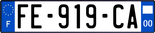 FE-919-CA
