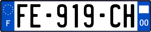 FE-919-CH