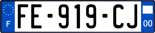 FE-919-CJ