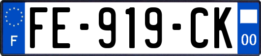 FE-919-CK
