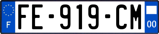 FE-919-CM