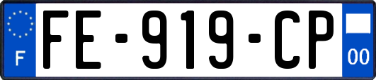 FE-919-CP