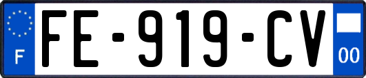 FE-919-CV