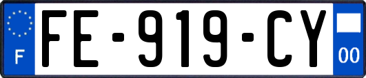 FE-919-CY