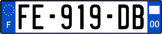 FE-919-DB