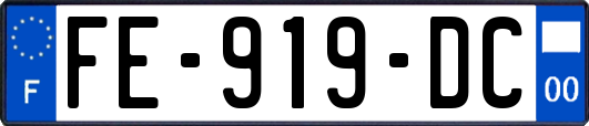 FE-919-DC