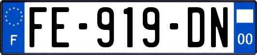 FE-919-DN