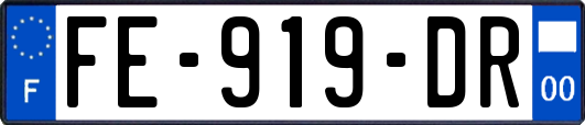 FE-919-DR
