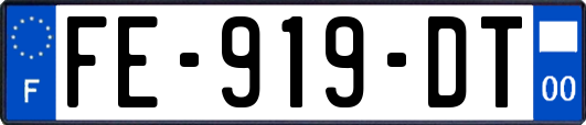 FE-919-DT