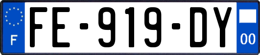 FE-919-DY