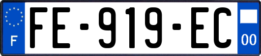 FE-919-EC