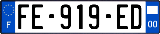 FE-919-ED