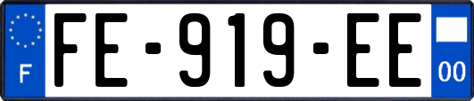 FE-919-EE