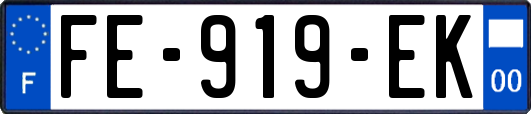 FE-919-EK