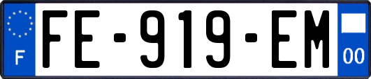 FE-919-EM