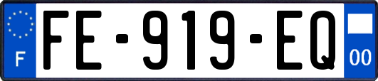 FE-919-EQ