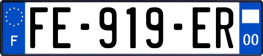 FE-919-ER