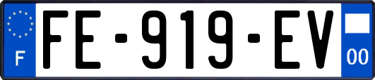 FE-919-EV