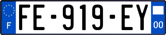 FE-919-EY
