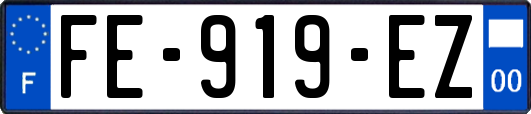 FE-919-EZ