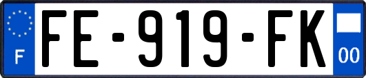 FE-919-FK