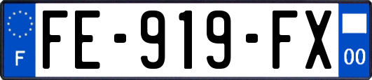 FE-919-FX