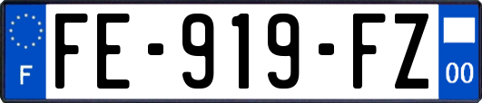 FE-919-FZ