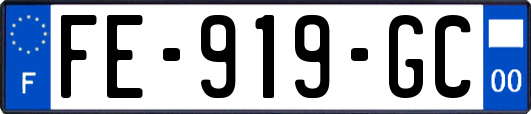 FE-919-GC