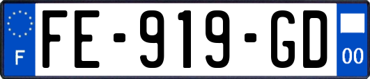 FE-919-GD