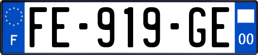 FE-919-GE