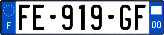 FE-919-GF