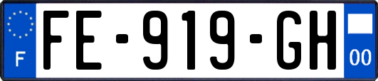 FE-919-GH