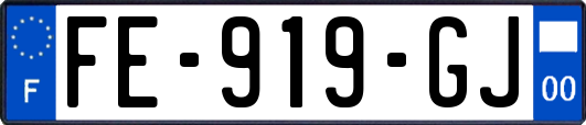 FE-919-GJ